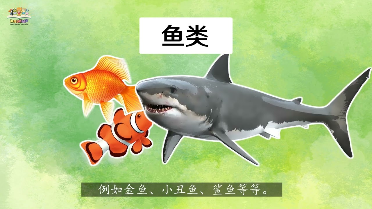 《动物》  四年级科学 单元3