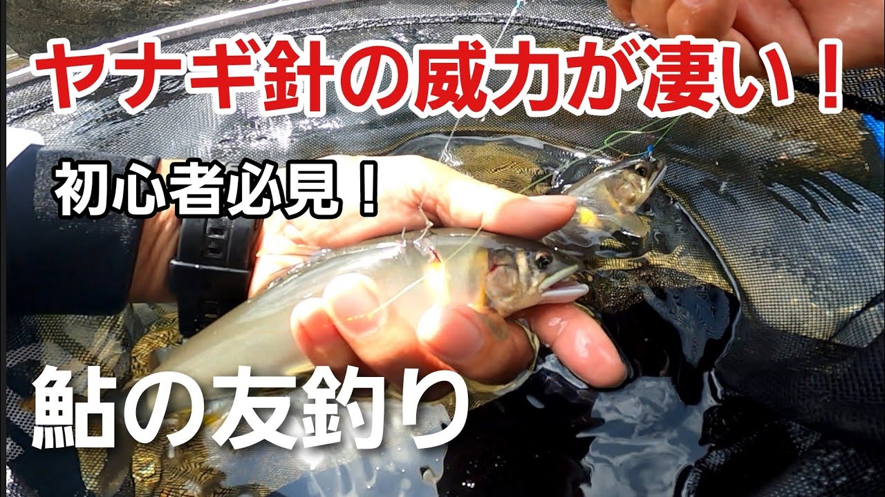 NO26  2段ヤナギ（8.5-8.0）の掛かり状態を映像でご覧ください！【友釣りオレ流】