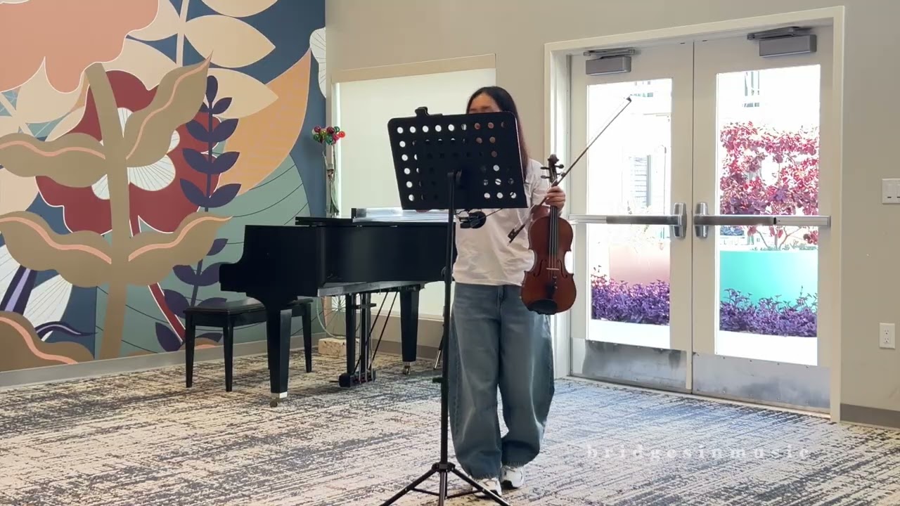 Bridges in Music Performance 209