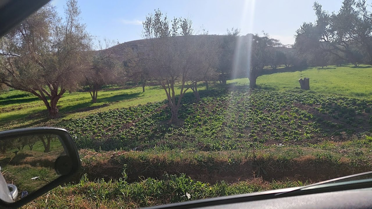 جولة في مدينة تاوريرت واد زا القصبة الكرارمةUn tour dans la ville de Taourirt, oued za Kasbah, Karma