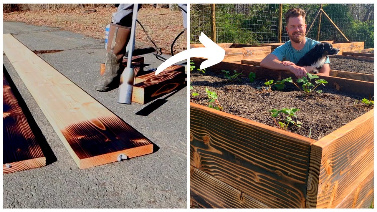 How to Build a Raised Garden Bed - using the Shou Sugi Ban Technique for organic gardening