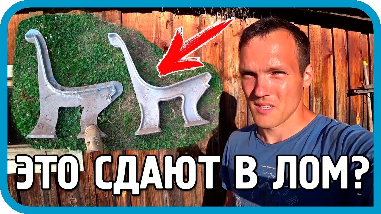 ОНИ СЕЛИ МНЕ НА ШЕЮ, НО Я 