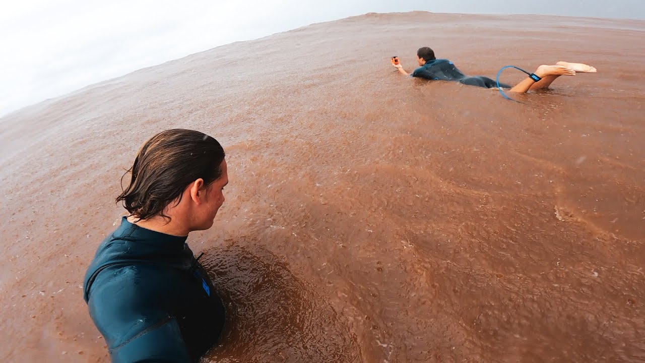 Surfing SHARK INFESTED Waters!