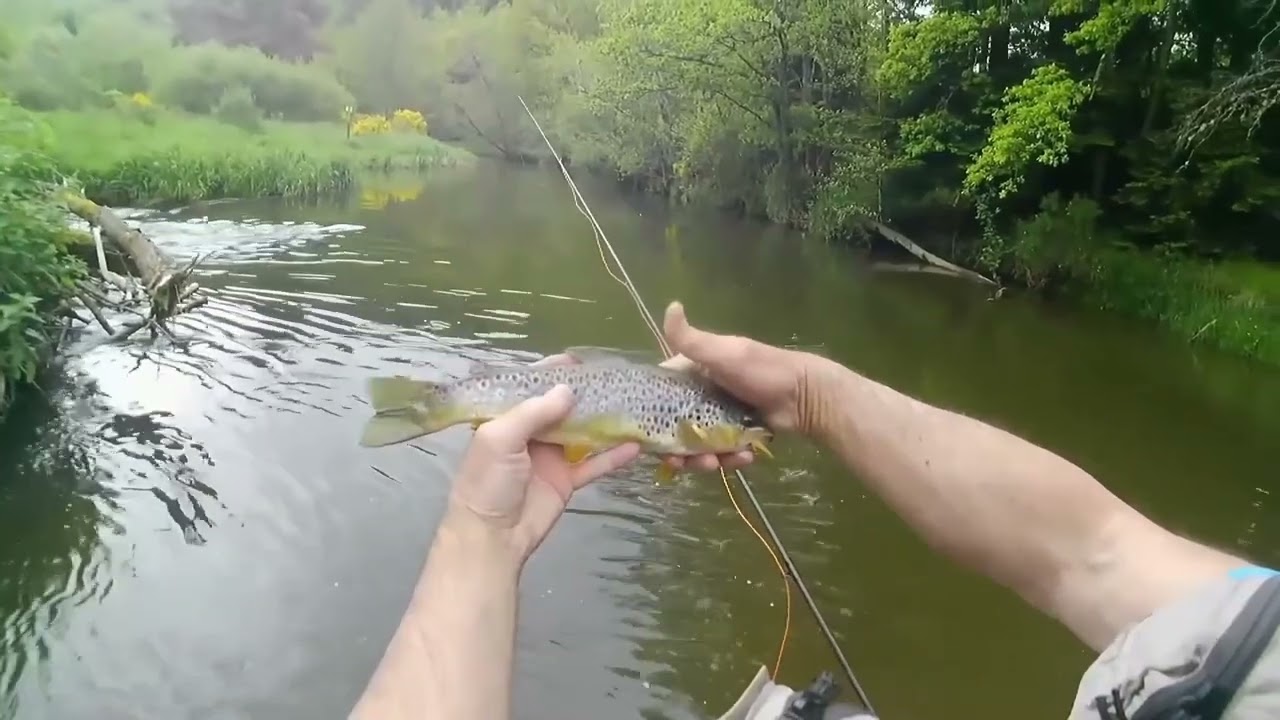 pêche à la mouche sur la Sioule mai 2024