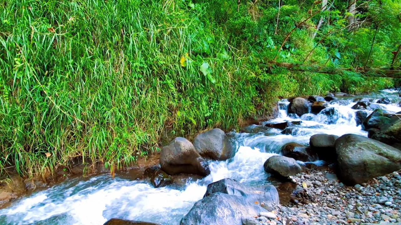 Gentle River Water for Stress Reduction