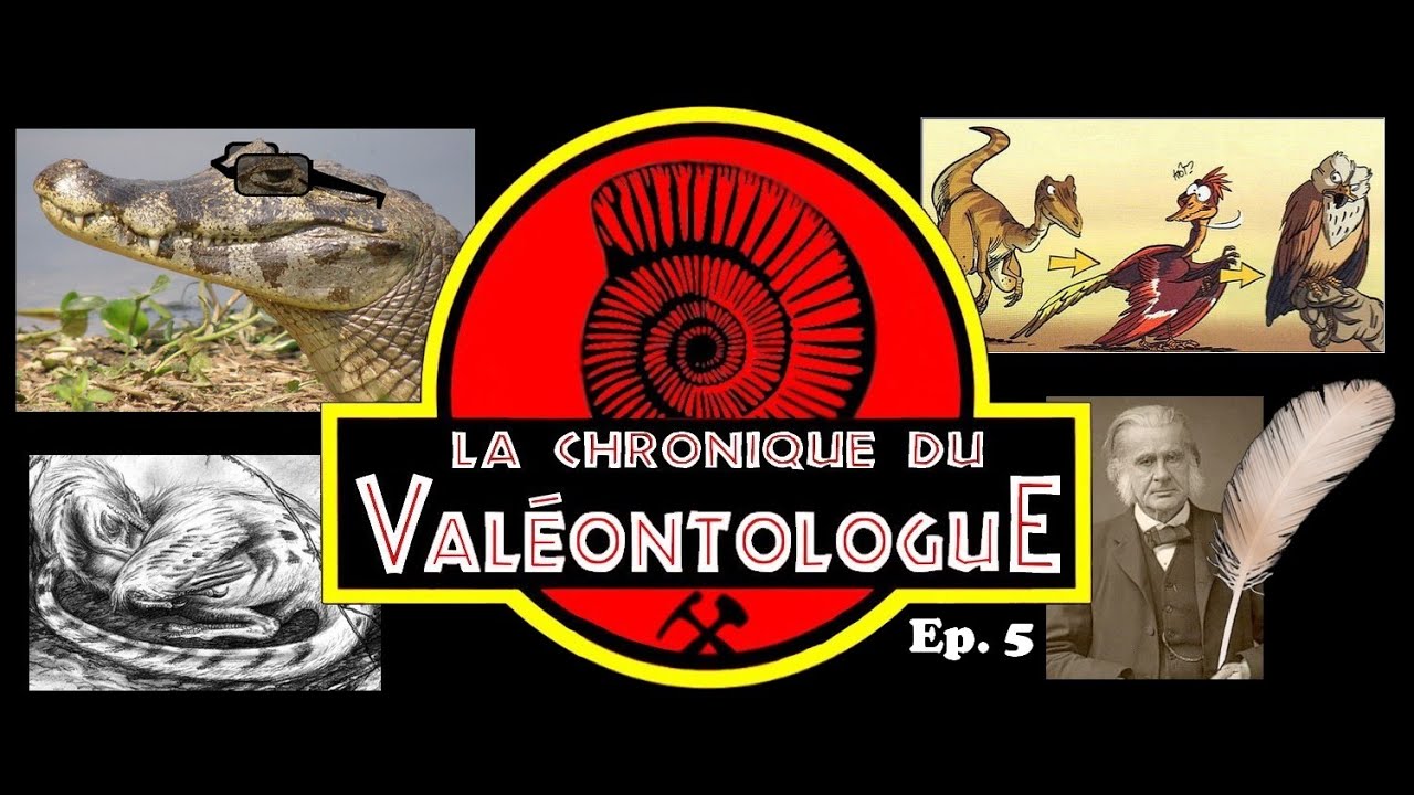 LCDV 05 - Les oiseaux : descendants des dinosaures ?