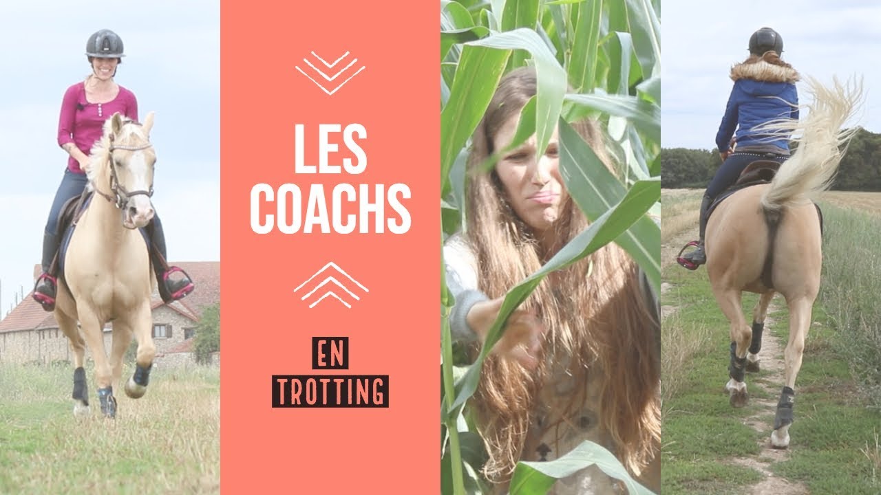 10 types de coachs : en trotting ! 🐎💨 I Georgette ou Taxi ?