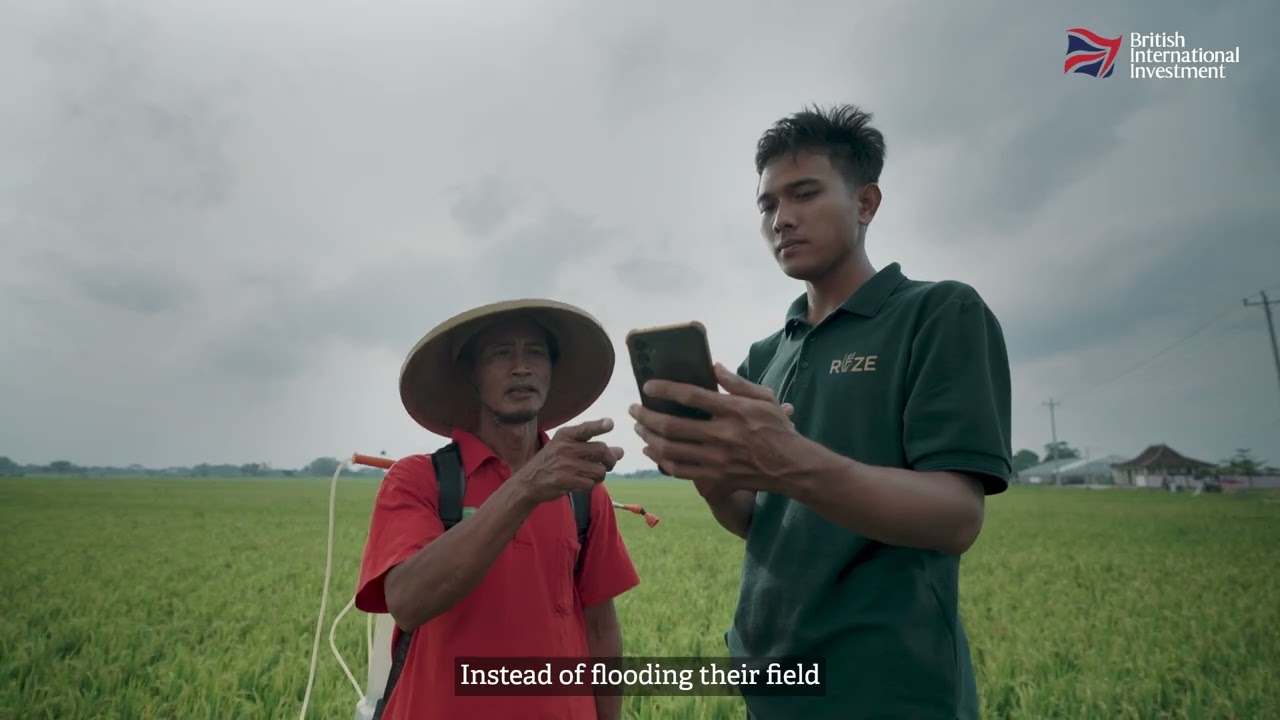 Scaling climate innovation with Wavemaker Impact and Rize