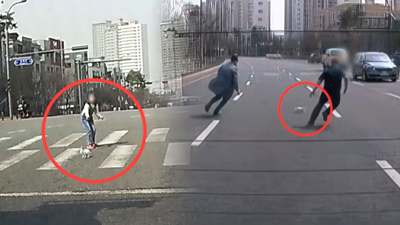 도로 위 「토끼 생포 대작전」, 아이가 놓친 토끼 잡으러 '어른이'들 총출동🐰 | 한블리 (한문철의 블랙박스 리뷰) 29회 | JTBC 230504 방송