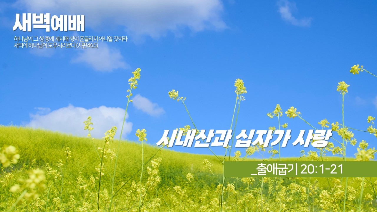 새벽예배_위임목사 2026.02.13. 양동제일교회 [예배실황]