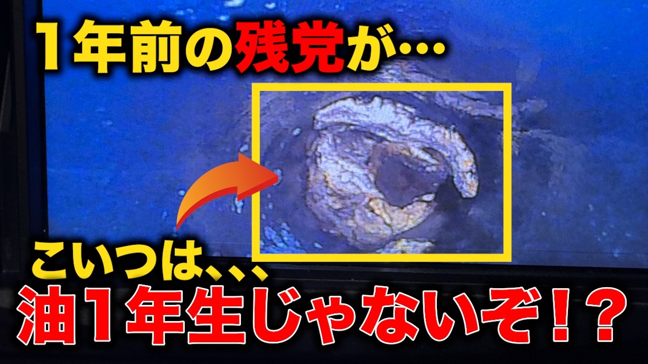 業者が入ったのに？ 1年前の残党が再詰まりの原因！？ 配管の中で育った油の正体【花のお掃除 #452】