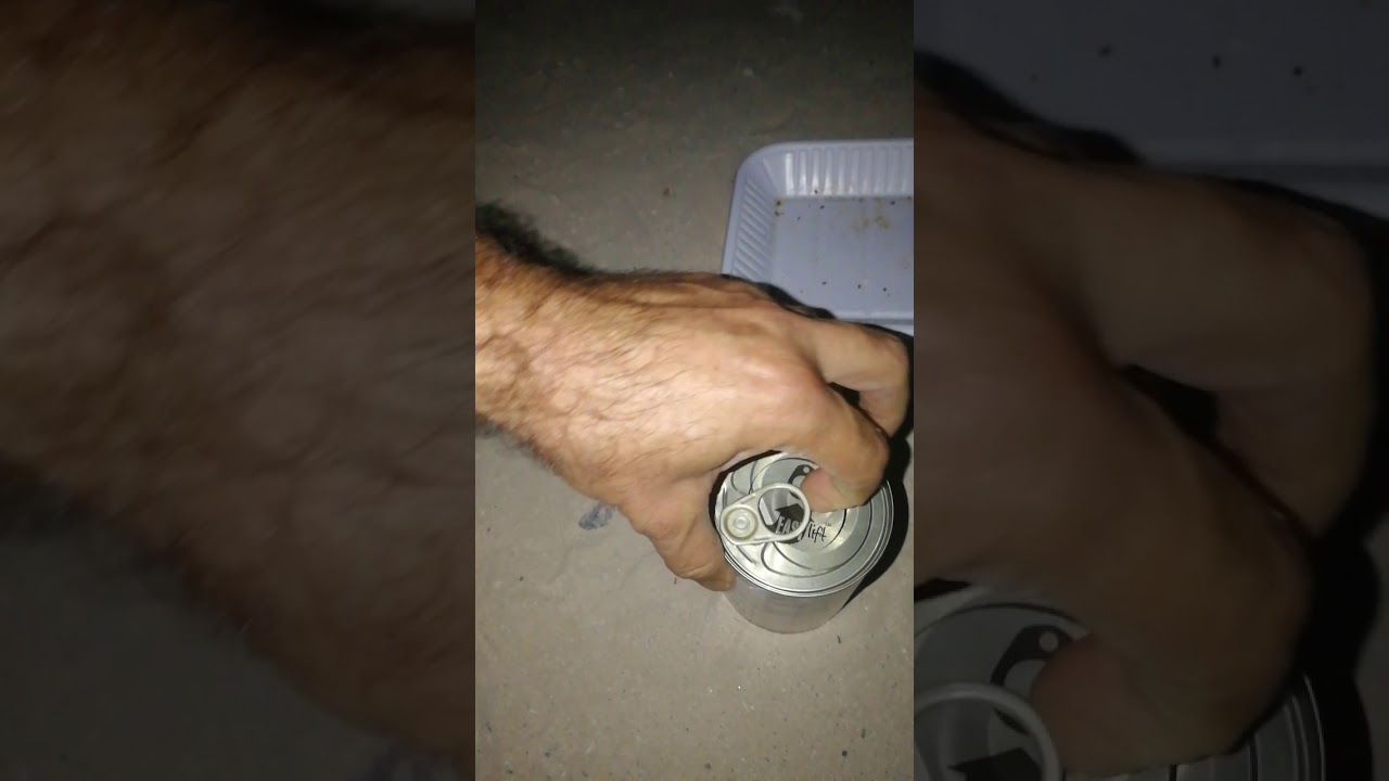 عمليات أنقاذ ومساعدة قطط الشوارع