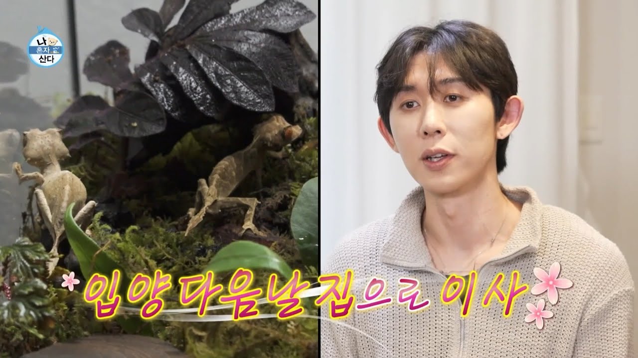 [나 혼자 산다 선공개] 코드 쿤스트네 도마뱀🦎 부부의 주니어, 코피주니오르 1세 탄생!, MBC 240809 방송