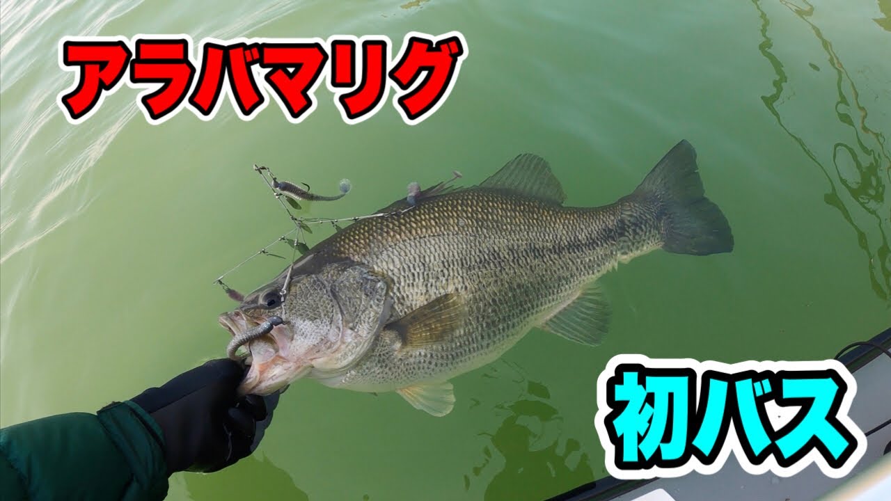琵琶湖アラバマリグでブリブリの初バス！