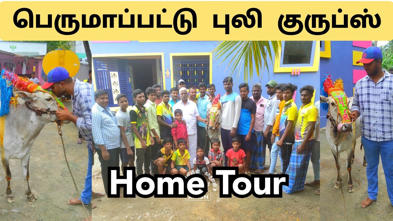 🐯 பெருமாப்பட்டு புலி 🐯 PERUMAPETTU PULI HOME TOUR 🛕 காளையின் காதலன் KRISH 🐂💙