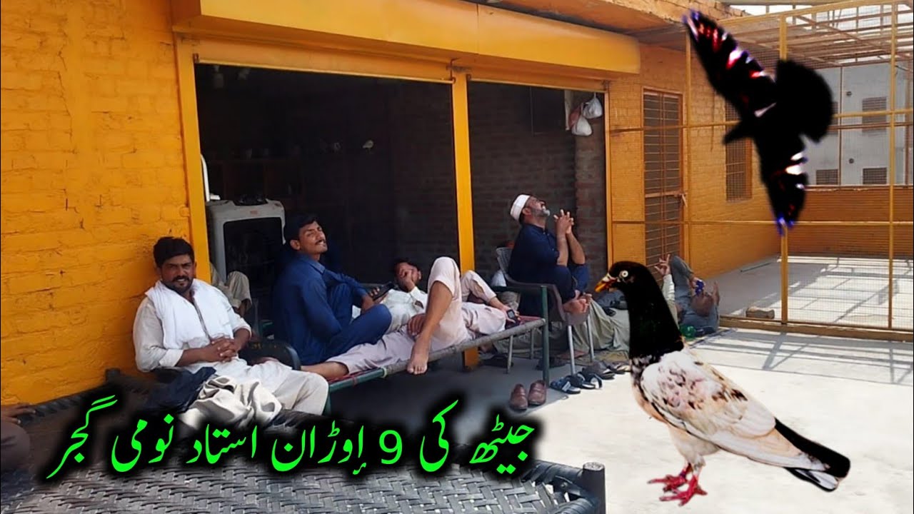Jaith Ki 9 Uraan Chath Ustad Nomi Guja💝