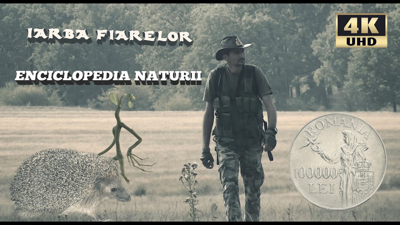 IARBA FIARELOR, ÎNTRE MIT ŞI REALITATE - Enciclopedia Naturii Ep.6