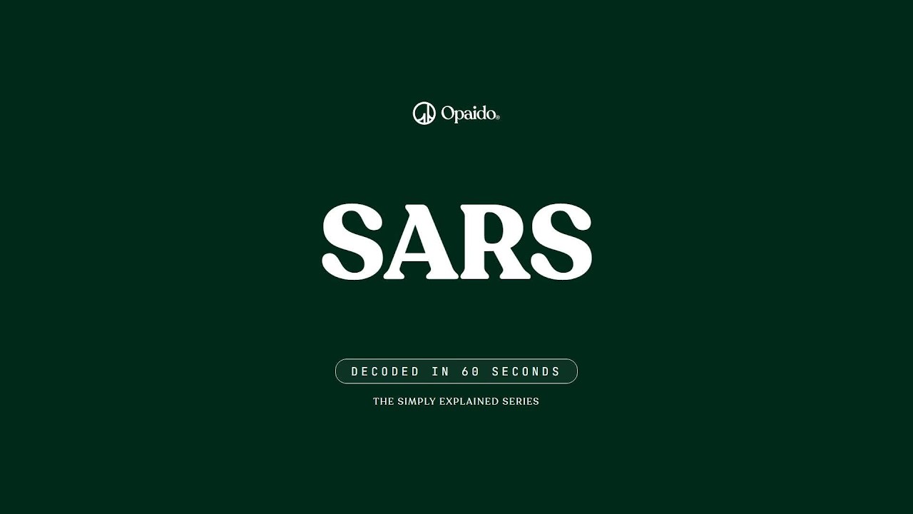 What Is SARS? South African HR & Payroll Explained
