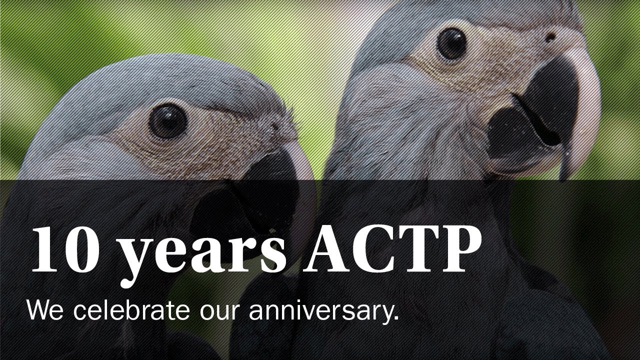 ACTP celebrates 10 years anniversary!