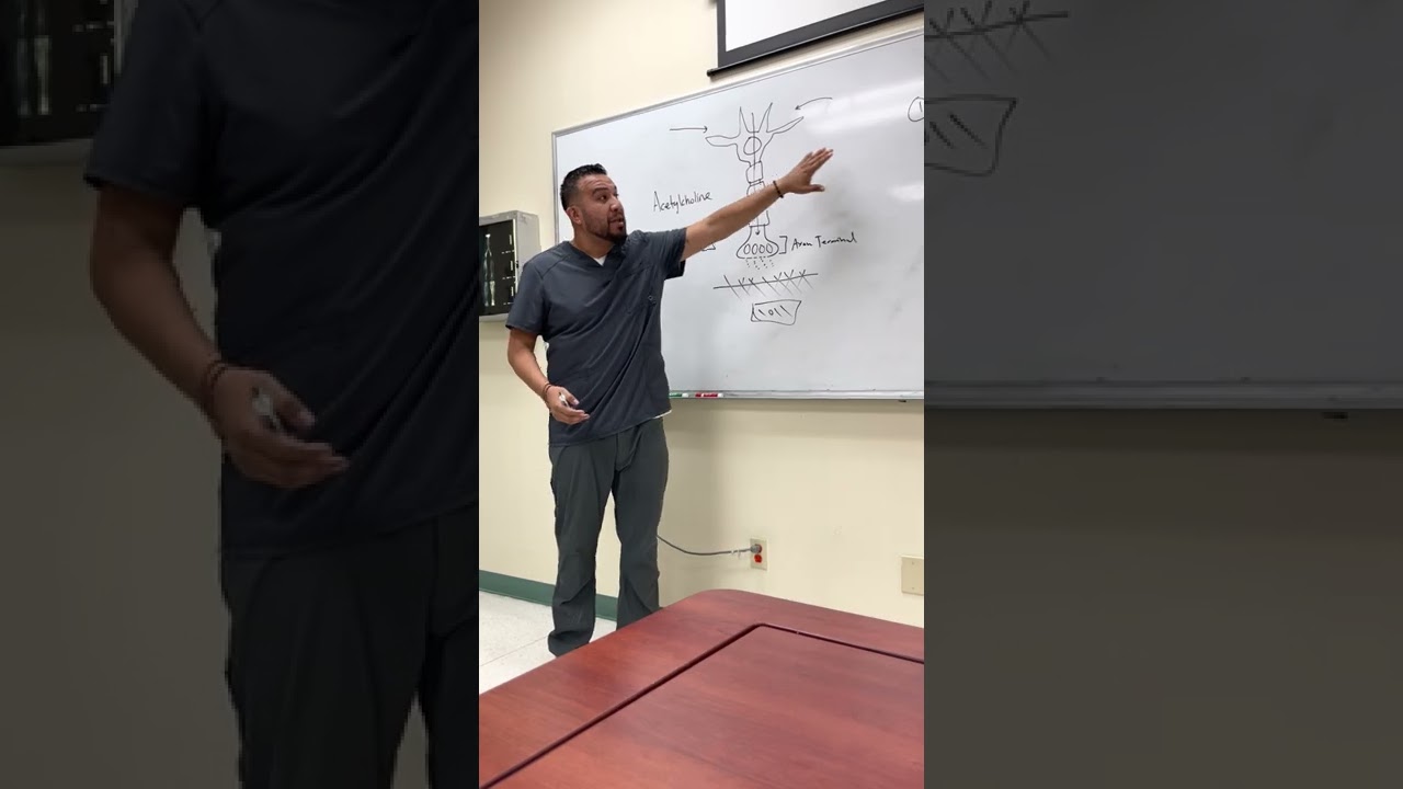 Learn NCLEX Now: Multiple Sclerosis, Myasthenia Gravis, Guillain-Barre Syndrome