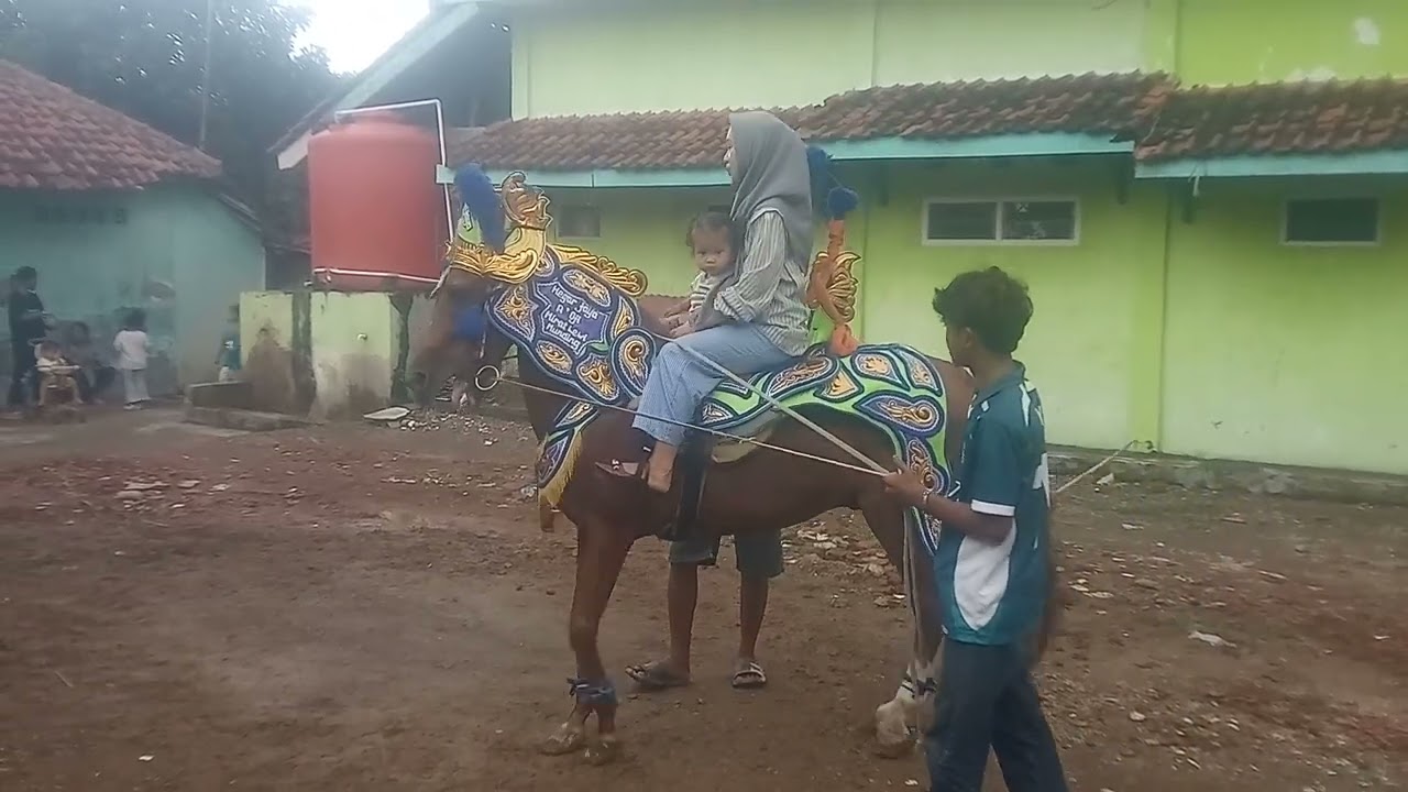 Atraksi kuda yuk kita lihat