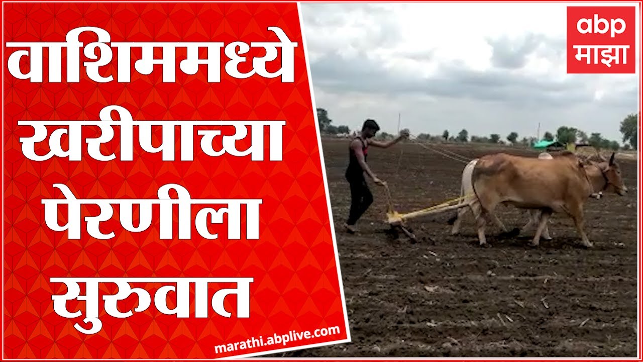 Washim Farming: वाशिम जिल्ह्यात पावसानंतर खरीपाच्या पेरणीला सुरुवात  ABP Majha