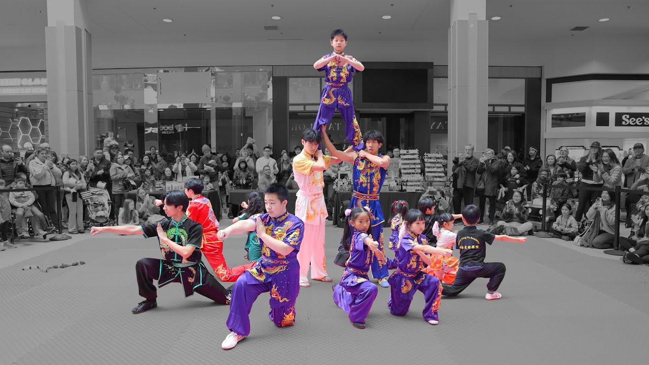 Kung Fu for Lunar New Year @ Arden Fair Mall for Asian Pacific Chamber