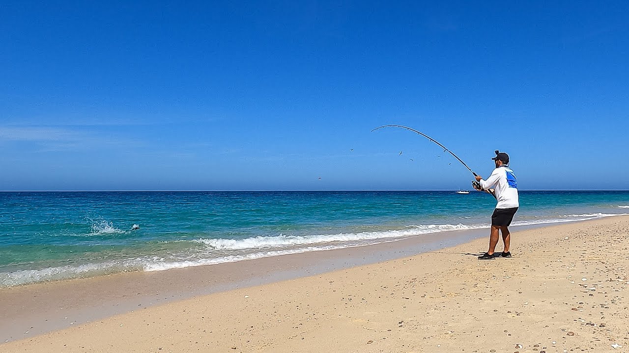 La PESCA en esta PLAYA es INCREIBLE, se PESCA PARGO, Gallo, Sierra, Jurel...de todo!!