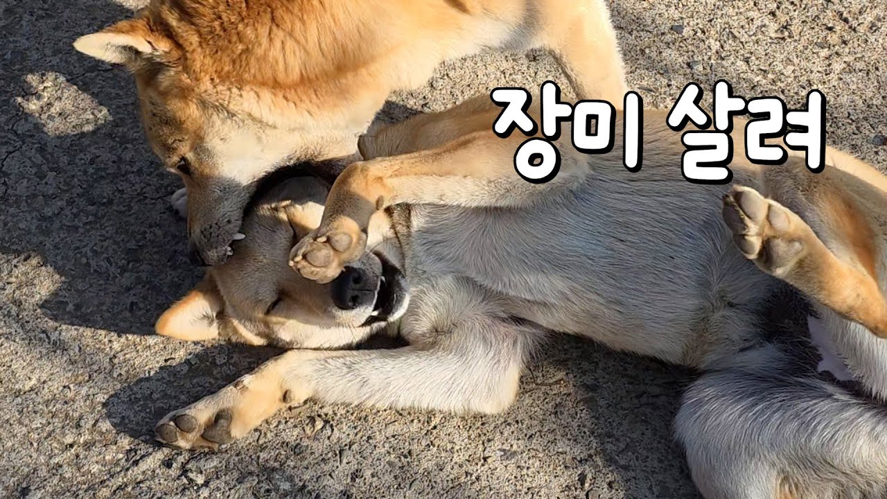 요즘 퇴근이 너무 빠르네요