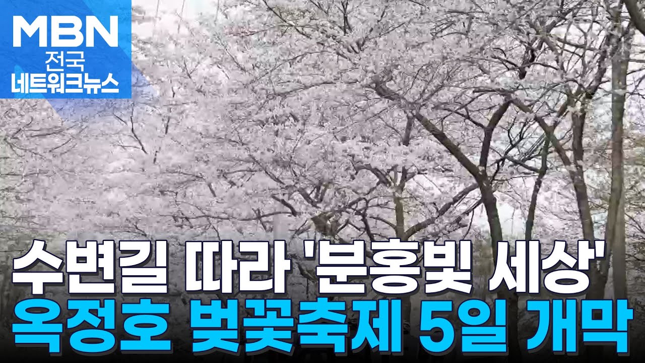수변길 따라 10km '분홍빛 세상'…옥정호 벚꽃축제 5일 개막 [전국네트워크]