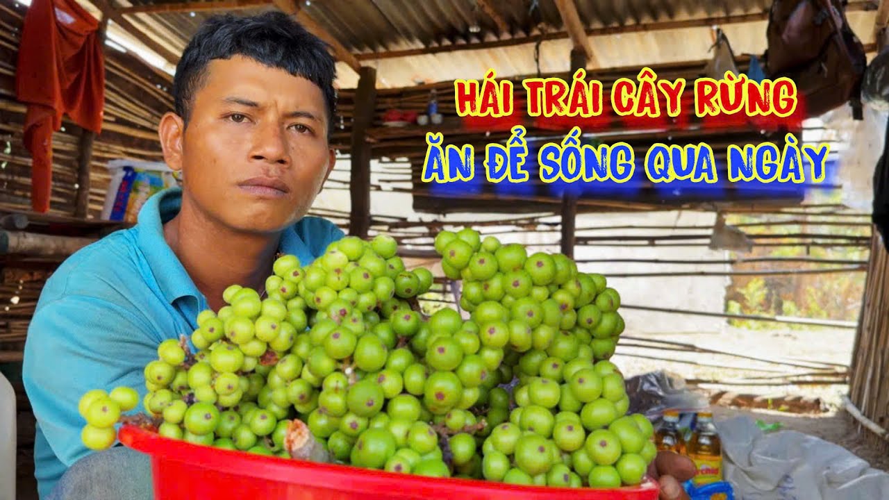 MỒ CÔI cha mẹ từ nhỏ, CHÀNG TRAI trú ẩn trong rừng để TỒN TẠI - tập 1462