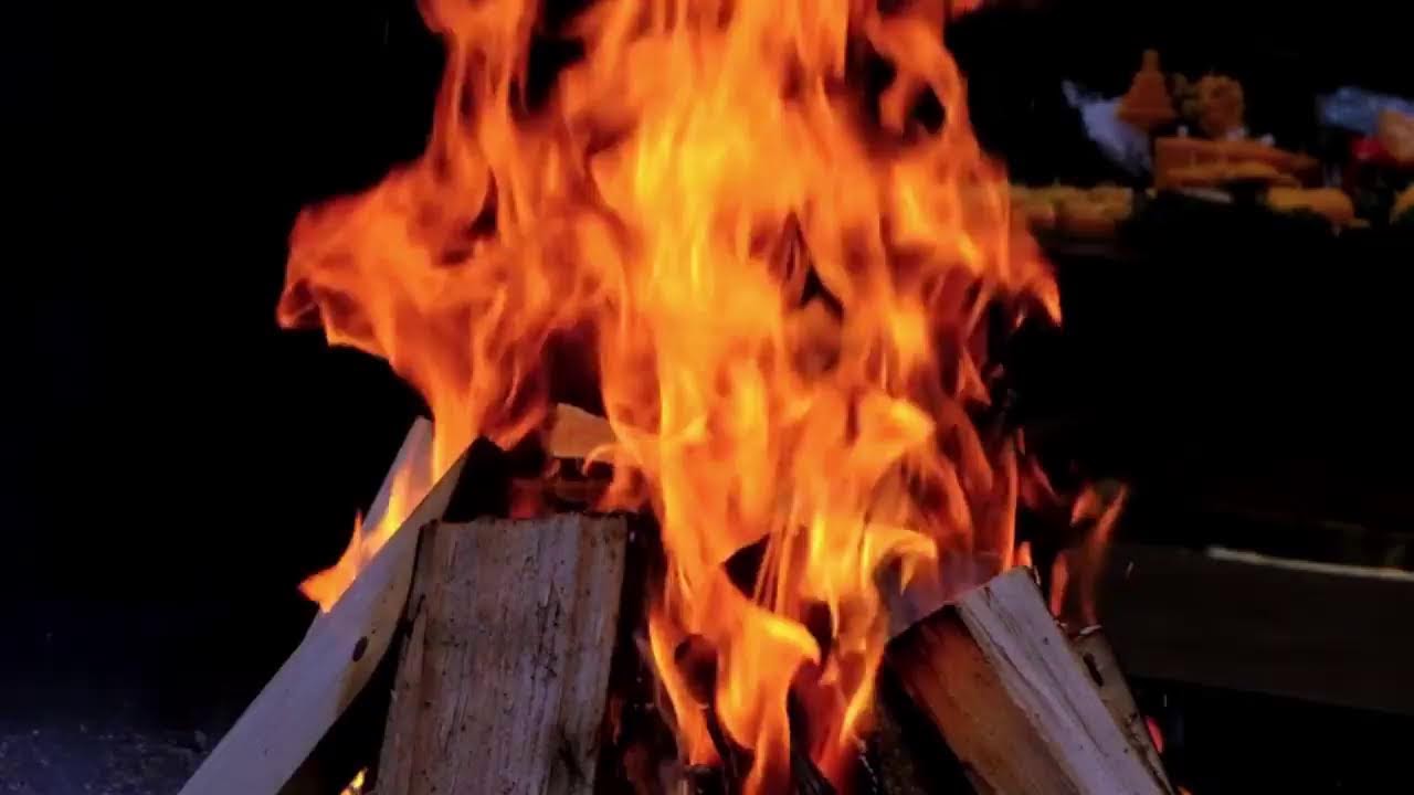 LIVE Cozy Campfire 🔥 | Relaxing Fire Sounds | Sleep Stream