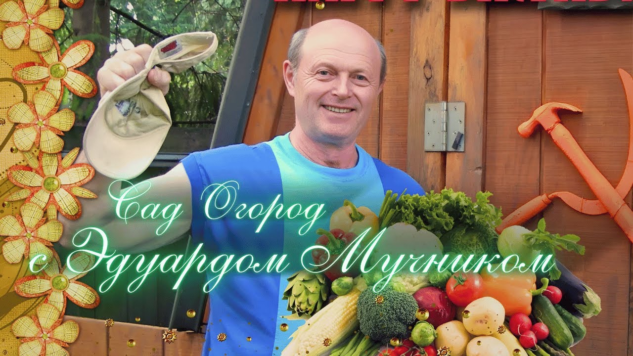 🔴 ПРЯМОЙ ЭФИР 🔴 РАДИО ЧИКАГО🔴САД ОГОРОД с Эдуардом Мучником