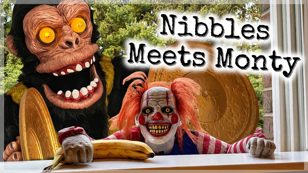 Nibbles Meets Monty