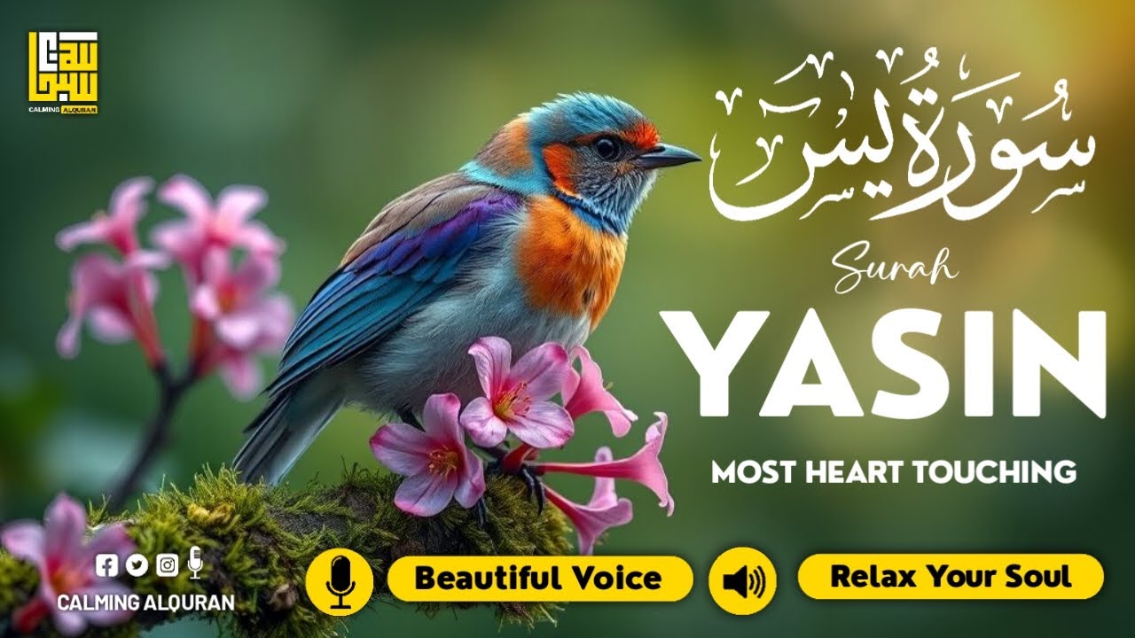 Surah Yasin (Yaseen) سورة يس ✦ Beautiful voice heart touching ✦ Peaceful Quran For Sleep ✦ Alaa Aqel