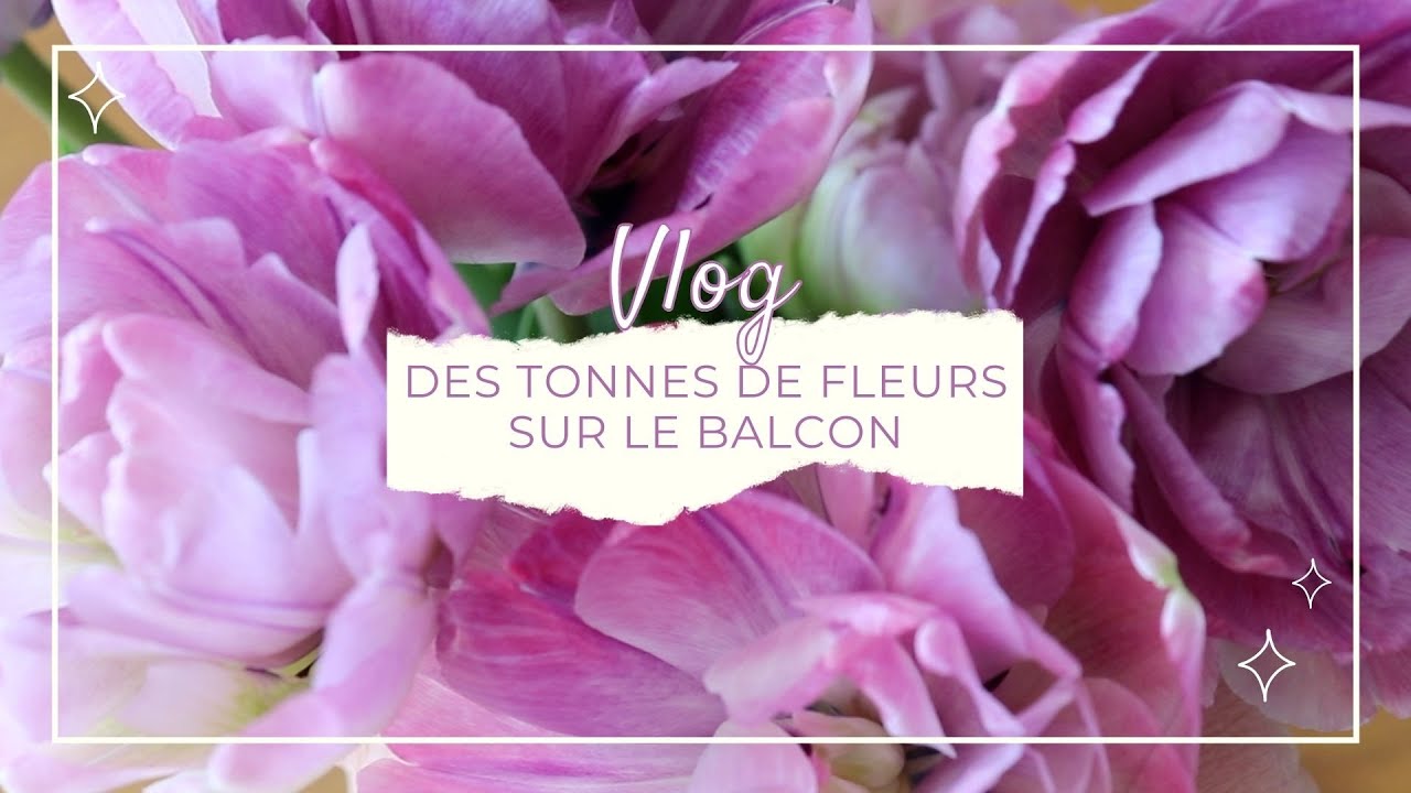 Vlog | balcon fleuri, crumble et virée à Paris