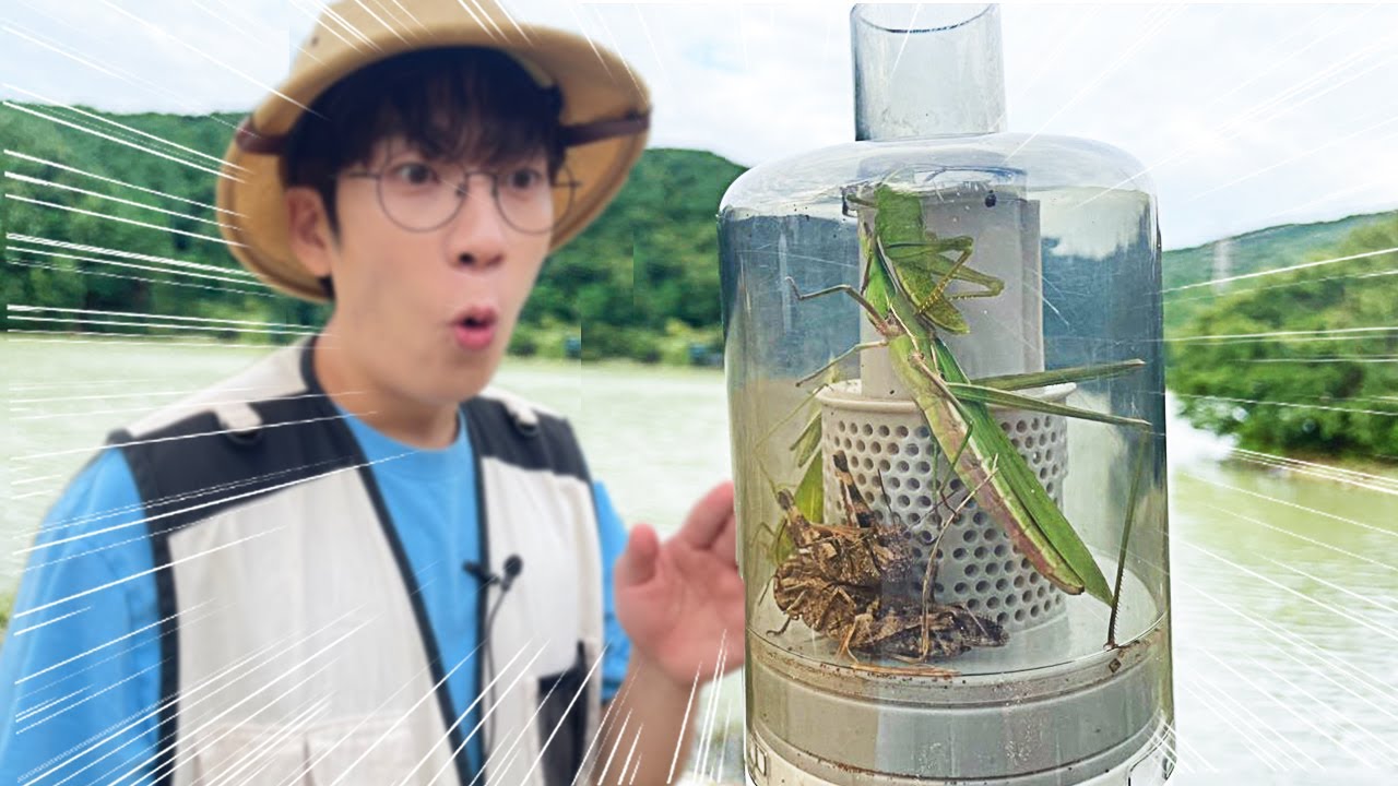 청소기로 '풀벌레' 채집해보자!