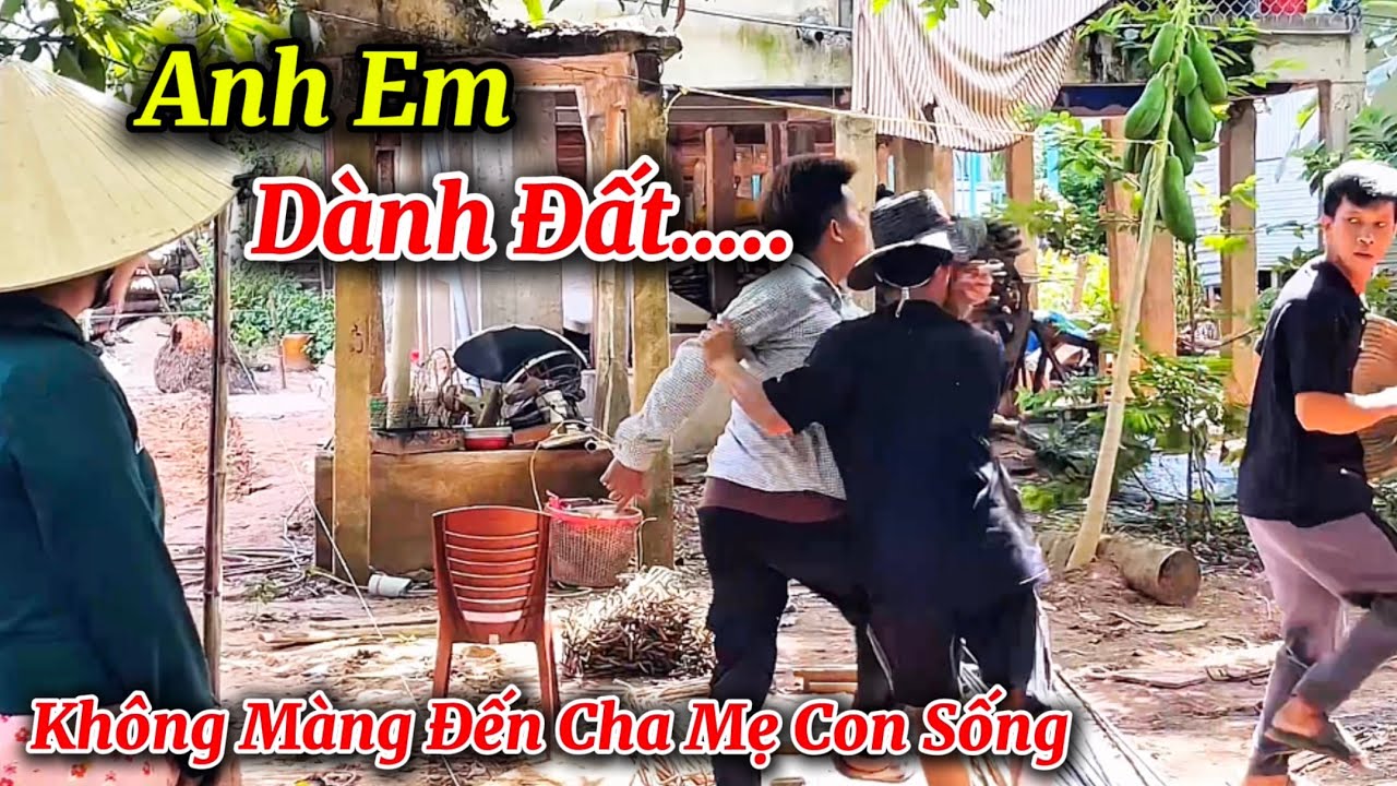 Anh Em Dành Đất Mà Cỡ Này
