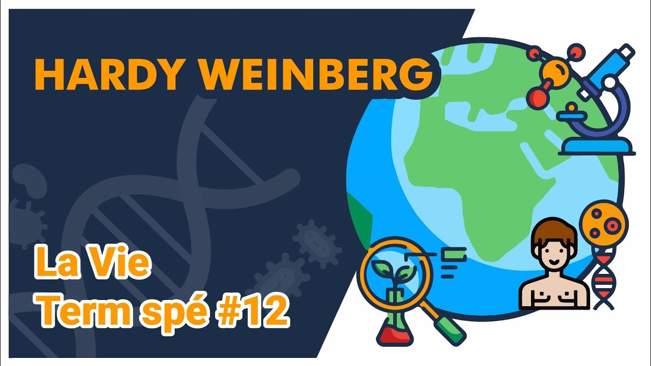 Hardy Weinberg -SVT - LA VIE Term spé #12 - Mathrix