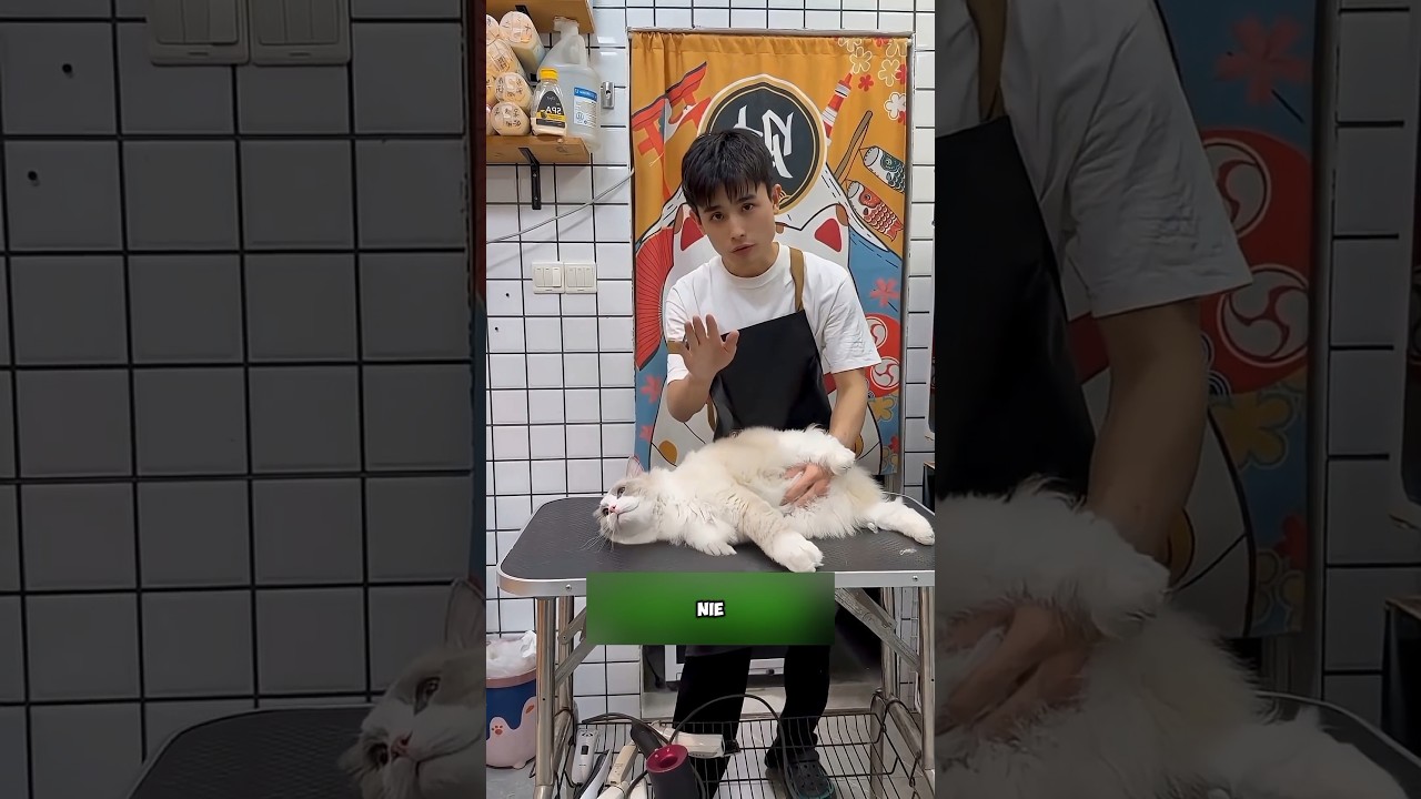 Najtrudniejsza praca na świecie...🤯 #shorts