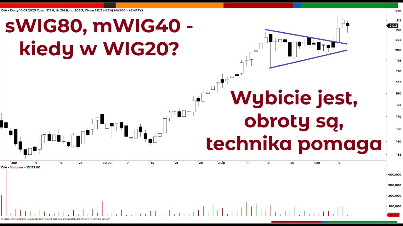 Diagnostyka - kiedy w WIG20? 100s z Piotrem Neidkiem