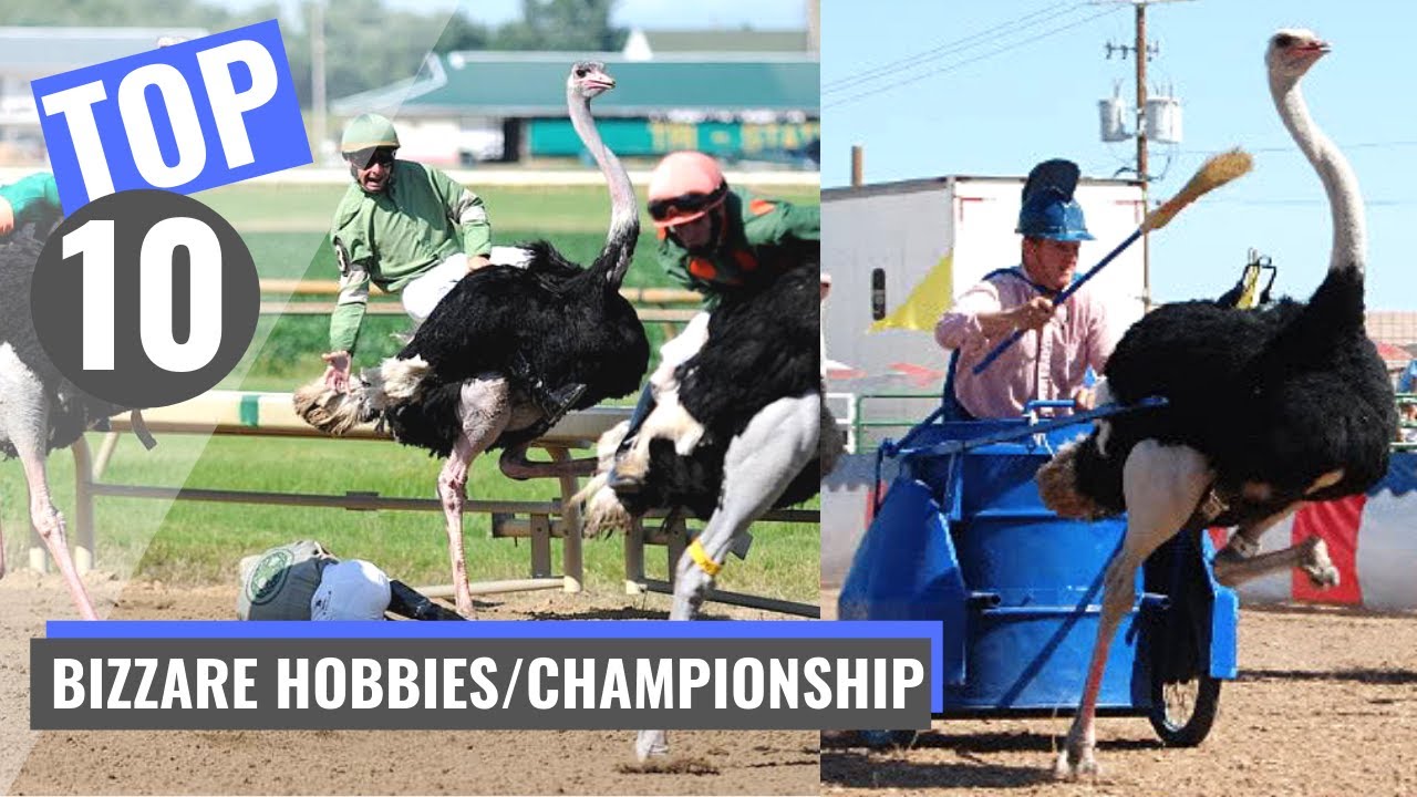 Top 10 Strange Hobbies You Could Be A Champion At