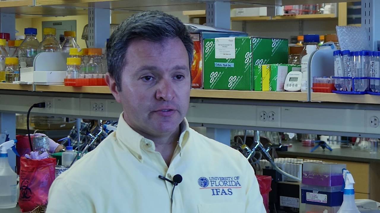 Outbreak Investigation: Epidemiological Investigation