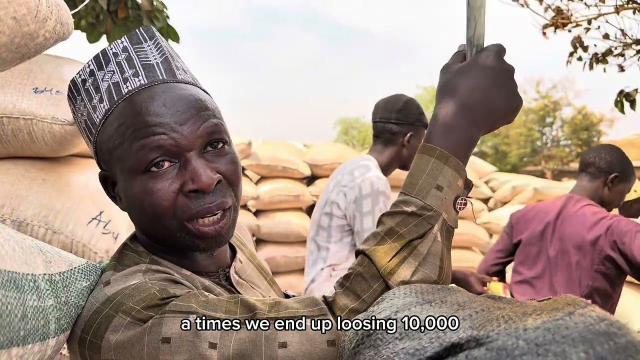 Inside Giwa Market, Kaduna 🇳🇬| Feeding Millions Across Northern Nigeria | Traco Africa Series Ep 1