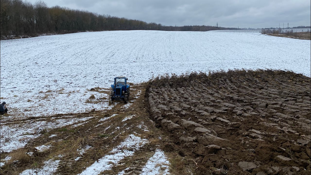 Соя на цілнику