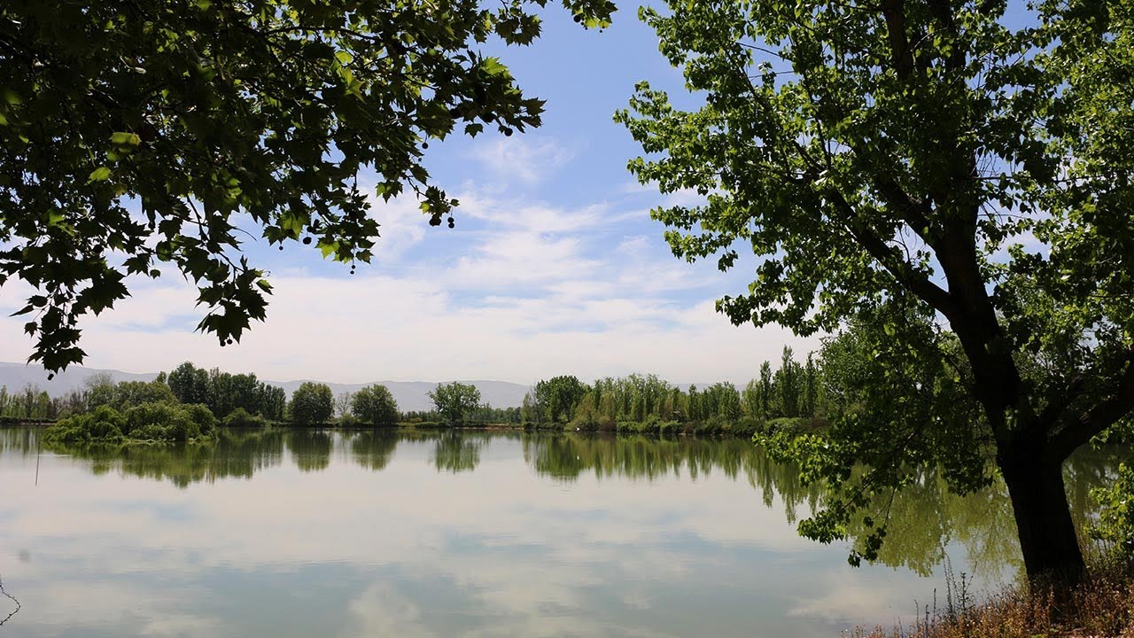 Domaine de Taanayel, Saint Joseph University, Notre Dame de la Consolation, Casino Arabi, Wadi Zahle