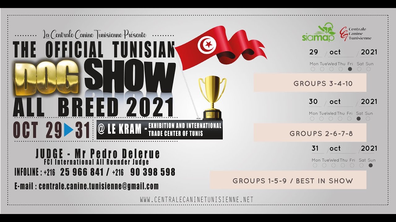 DOG SHOW TUNISIA في ISKO PARC DES LEGENDES مشاركتي مع كلبي