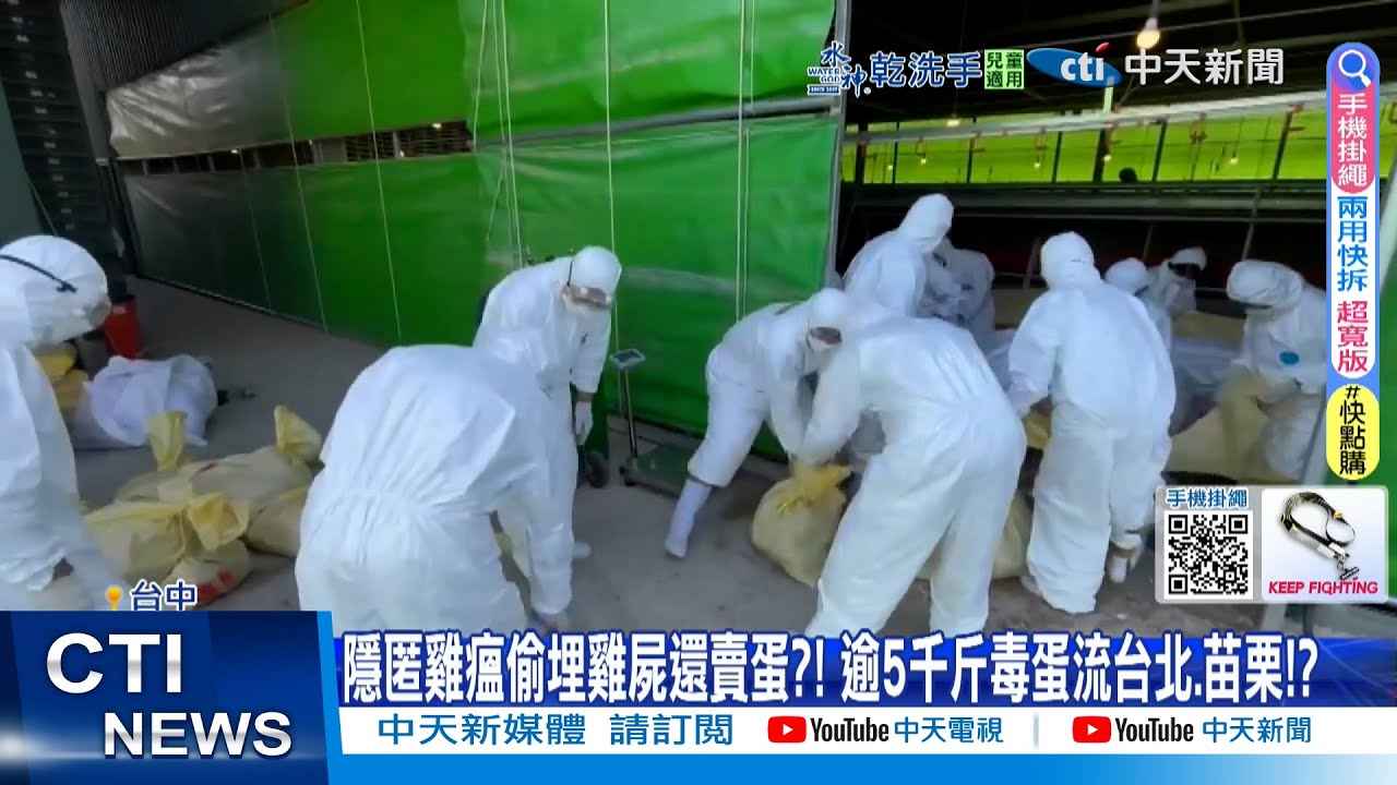【每日必看】隱匿雞瘟偷埋雞屍還賣蛋?! 逾5千斤毒蛋流台北.苗栗!? 20260129