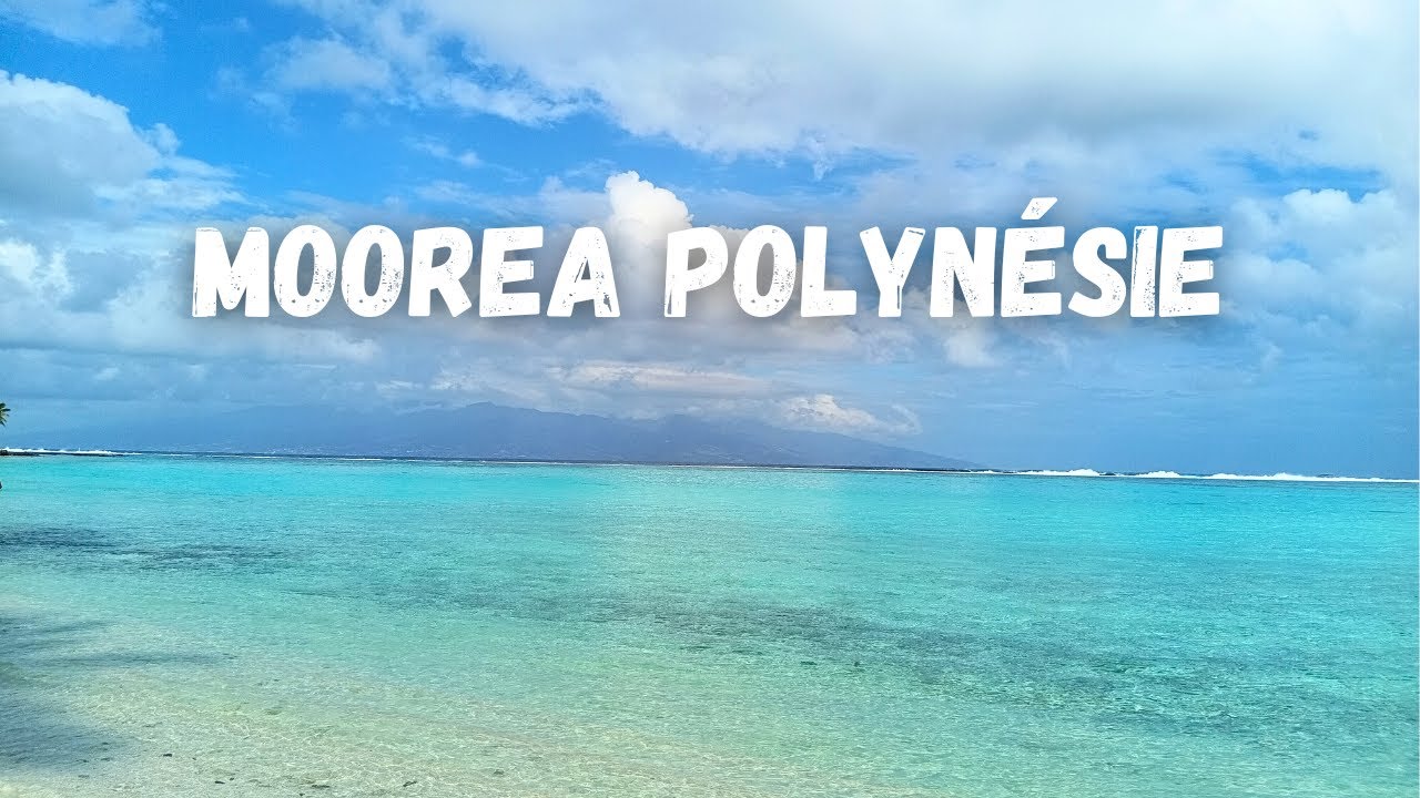 A voir, à faire à Moorea la belle plage de Temae en Polynésie