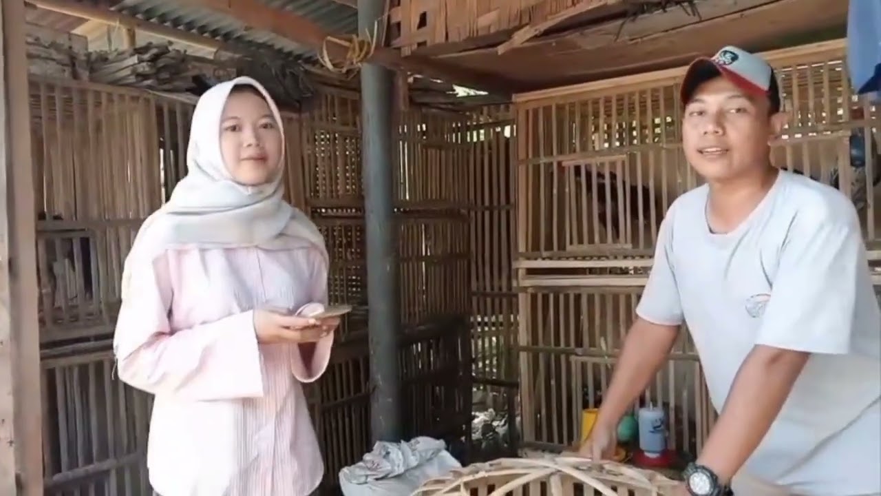 Tugas PKWU Budidaya peternakann (Kurnia Agus Rianti XII-G) 